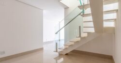 Contemporâneo